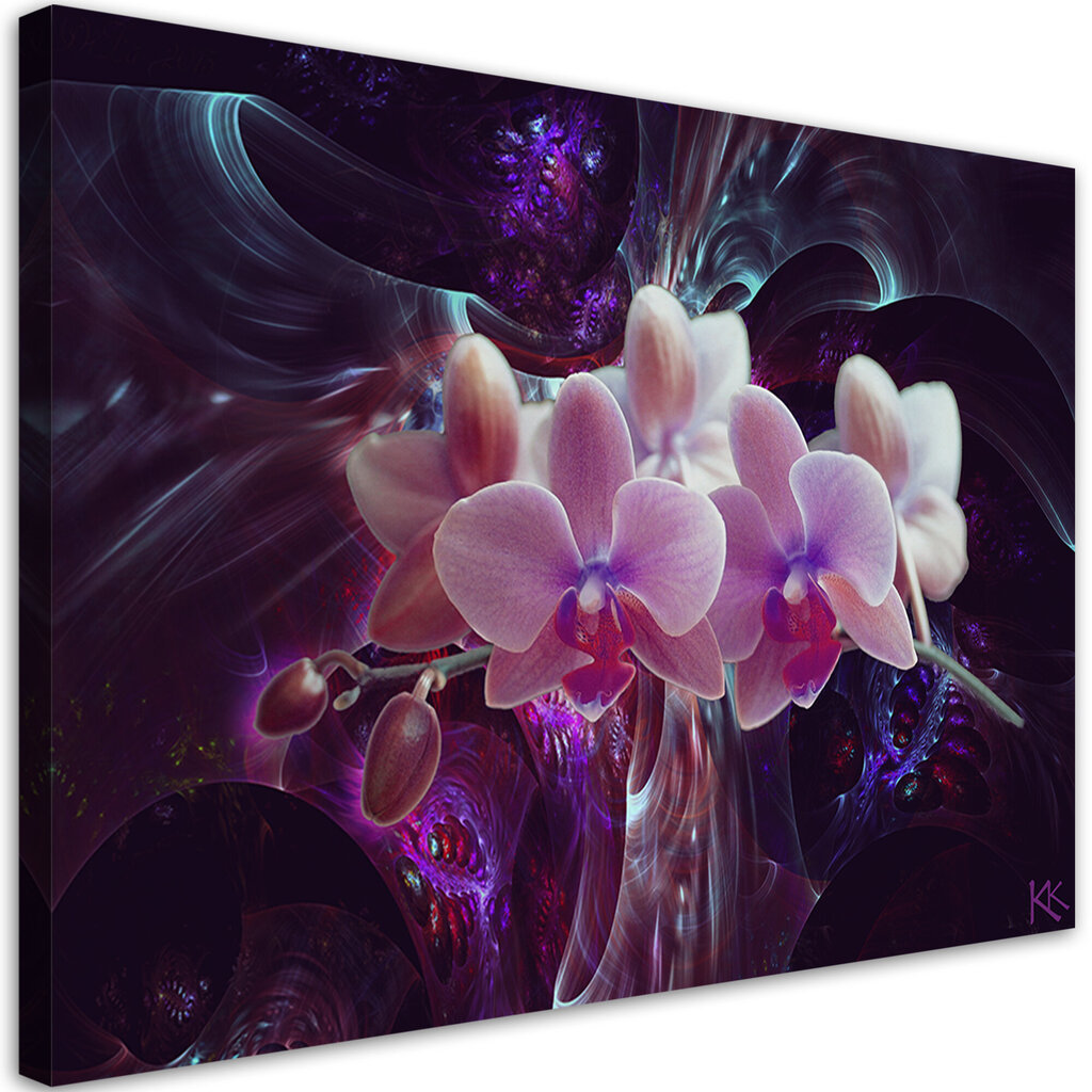 Glezna uz audekla, Baltās orhidejas ziedi cena un informācija | Gleznas | 220.lv