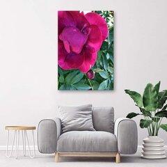 Glezna uz audekla, Liels rozā zieds цена и информация | Картины | 220.lv