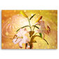 Glezna uz audekla, Lilijas zieds uz dzeltena fona cena un informācija | Gleznas | 220.lv
