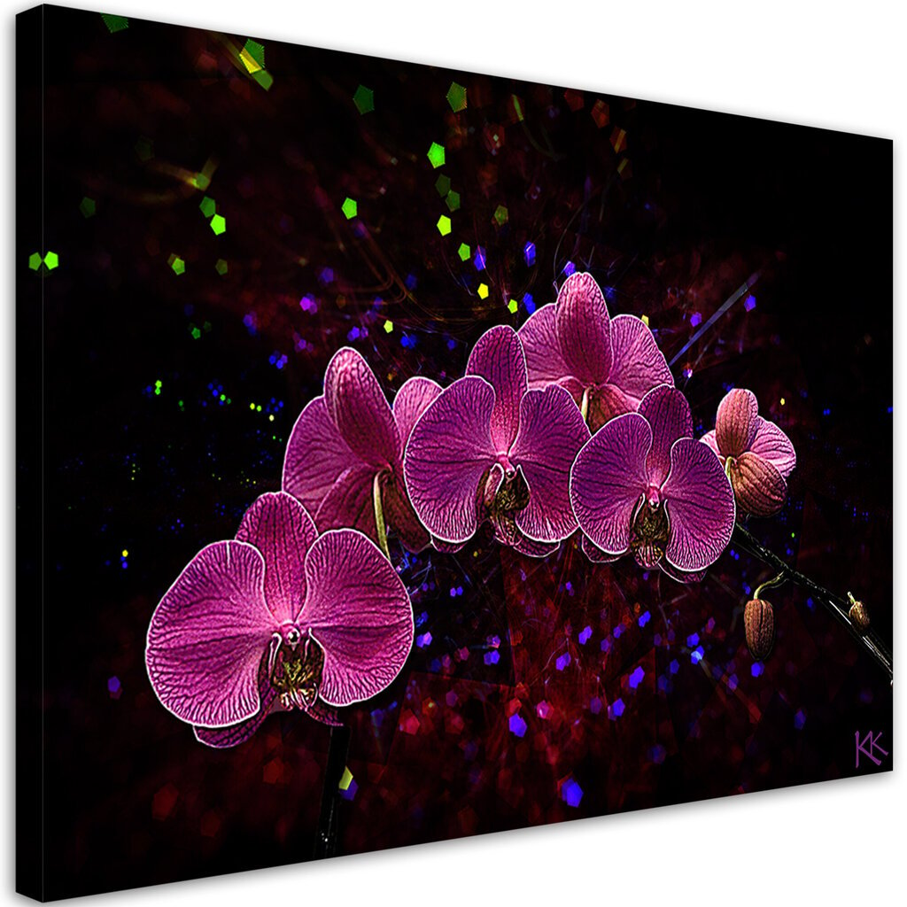 Glezna uz audekla, Orhideju rozā ziedi cena un informācija | Gleznas | 220.lv