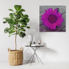 Glezna uz audekla, Rozā saulespuķe цена и информация | Картины | 220.lv