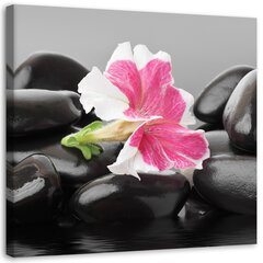 Glezna uz audekla, Rozā zieds uz akmeņiem цена и информация | Картины | 220.lv