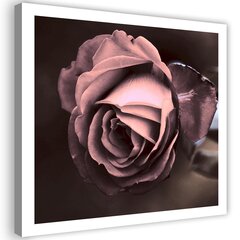 Glezna uz audekla, Skaista roze цена и информация | Картины | 220.lv
