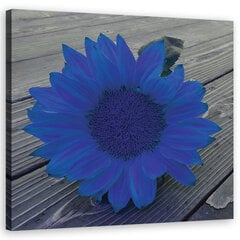 Glezna uz audekla, Zilā saulespuķe cena un informācija | Gleznas | 220.lv