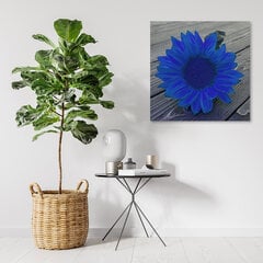 Glezna uz audekla, Zilā saulespuķe cena un informācija | Gleznas | 220.lv