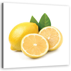 Печать холста, фрукты лимон 29,99 цена и информация | Картины | 220.lv