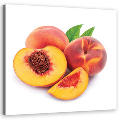 Холст печать, фрукты персик 29,99 цена и информация | Картины | 220.lv