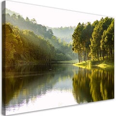 Картина DKD Home Decor, Пейзаж (2 шт.) (50 x 3 x 70 cm) цена и информация | Картины | 220.lv