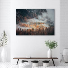 Glezna uz audekla, Ainava mežs miglā cena un informācija | Gleznas | 220.lv