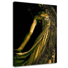 Принт холста, женщина в золотой пыли 39,99 цена и информация | Картины | 220.lv