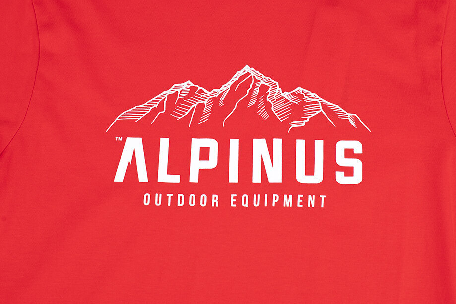 Alpinus Vīriešu krekls Mountains FU18511 cena un informācija | Vīriešu T-krekli | 220.lv