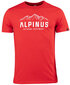 Alpinus Vīriešu krekls Mountains FU18511 cena un informācija | Vīriešu T-krekli | 220.lv