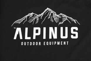 Alpinus Vīriešu krekls Mountains FU18523 cena un informācija | Vīriešu T-krekli | 220.lv