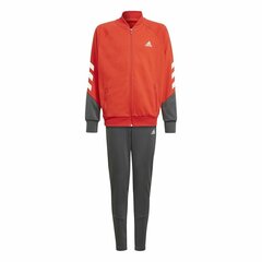 Bērnu Sporta Tērps Adidas Training XFG 3 Stripes Sarkans Tumši pelēks cena un informācija | Komplekti zēniem | 220.lv