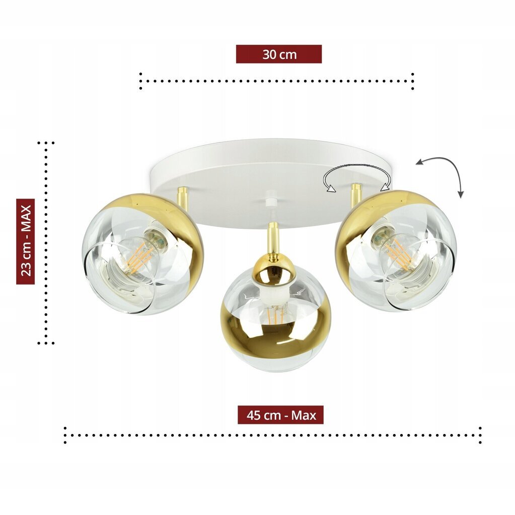 Piekaramā lampa Luxolar 503 цена и информация | Piekaramās lampas | 220.lv