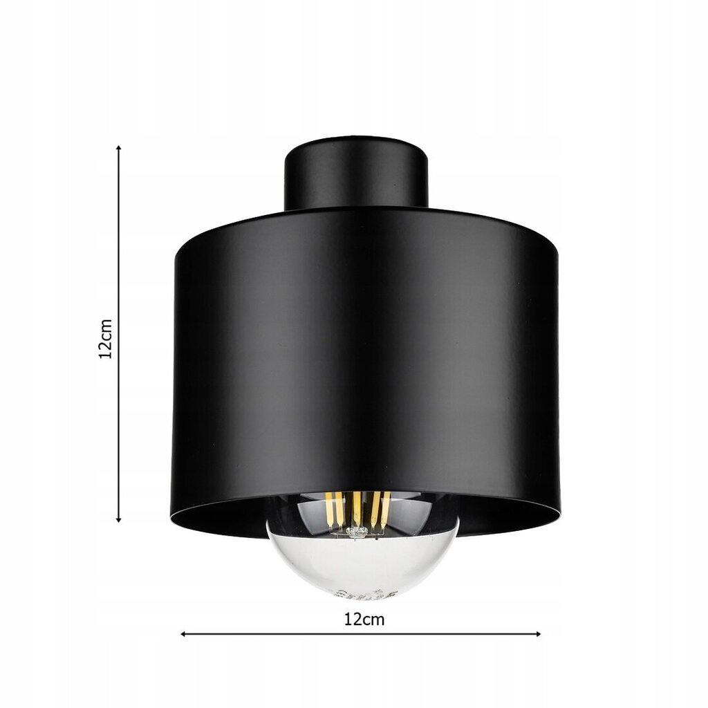 Piekaramā lampa Led-lux LX-1099 cena un informācija | Lustras | 220.lv