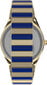 Pulkstenis sievietēm Q Timex Malibu TW2V38500 cena un informācija | Sieviešu pulksteņi | 220.lv