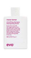 Mane Tamer izlīdzinošais šampūns (Smoothing Shampoo) 300 ml цена и информация | Шампуни | 220.lv