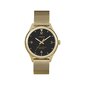 Pulkstenis sievietēm Timex Waterbury Traditional TW2T36400 cena un informācija | Sieviešu pulksteņi | 220.lv