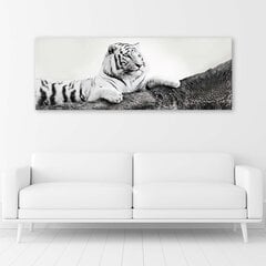 Холст, печальный тигр 39,99 цена и информация | Картины | 220.lv