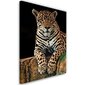 Reprodukcija Leopards cena un informācija | Gleznas | 220.lv