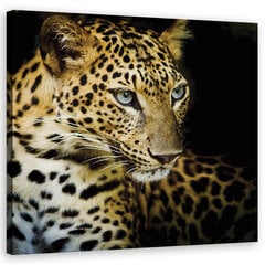 Glezna uz audekla, Majestātiskais leopards cena un informācija | Gleznas | 220.lv