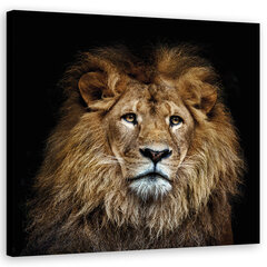 Glezna uz audekla, Majestātiskā lauva cena un informācija | Gleznas | 220.lv