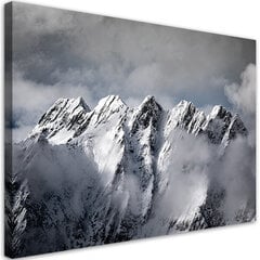 Glezna uz audekla, Kalna virsotne ziemā cena un informācija | Gleznas | 220.lv