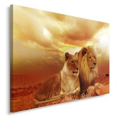 Glezna uz audekla, Lauvu pāris цена и информация | Картины | 220.lv