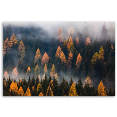 Печать холста, Осенние деревья 59,99 цена и информация | Картины | 220.lv
