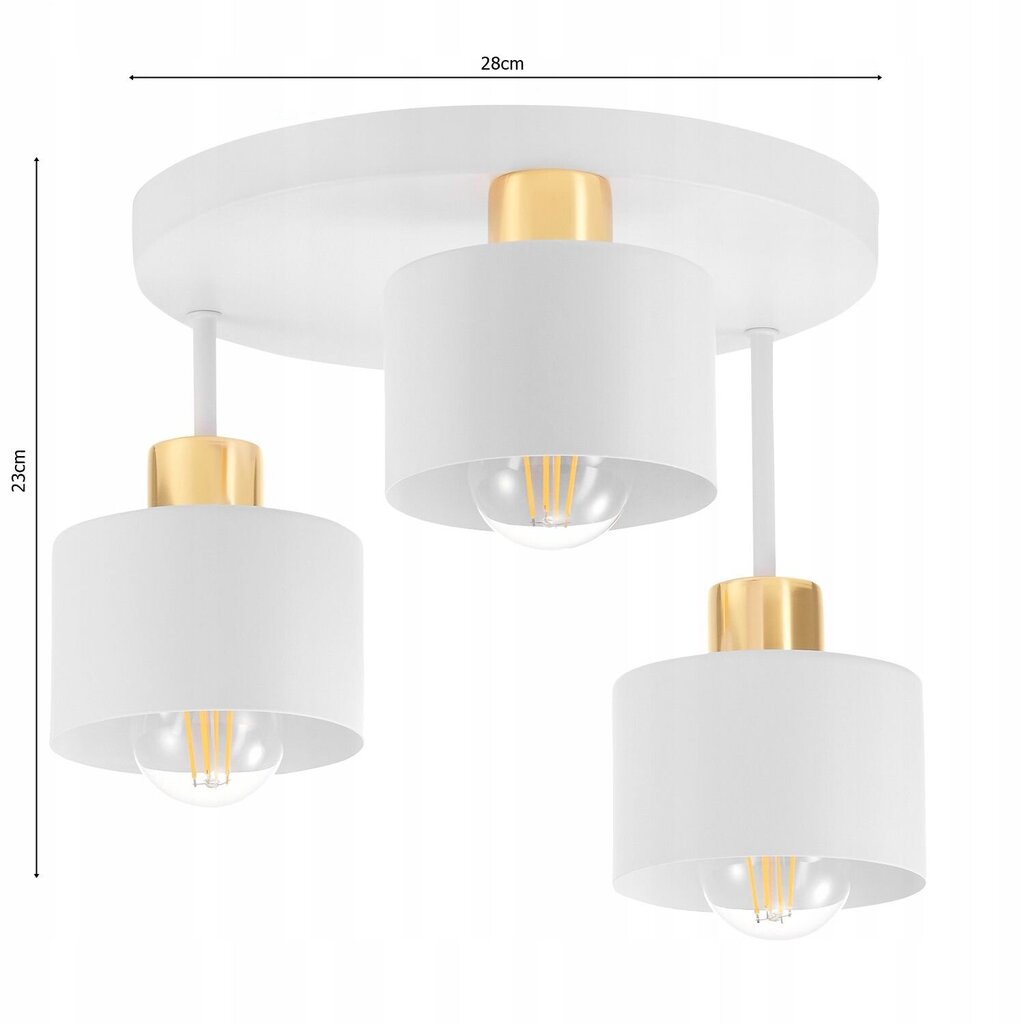 Griestu lampa Led-lux, balta цена и информация | Griestu lampas | 220.lv