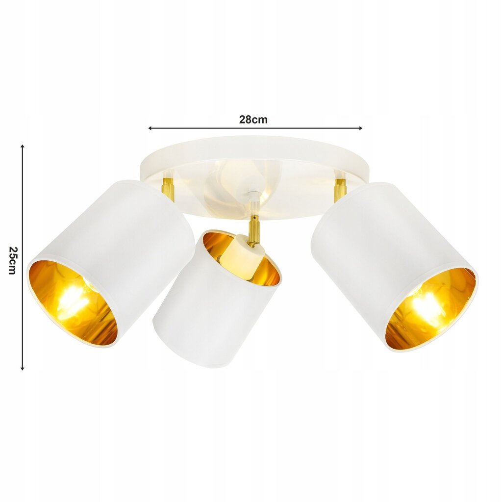 Griestu lampa, Balta цена и информация | Griestu lampas | 220.lv