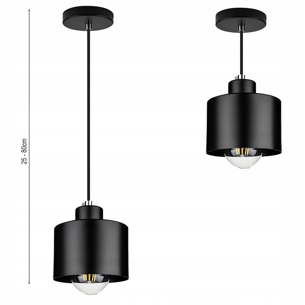 Griestu piekarināmā lampa Led-lux цена и информация | Piekaramās lampas | 220.lv