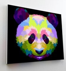 Glezniecība ar skaitļiem Panda, Splat Planet, 30x40 cm cena un informācija | Gleznas pēc numuriem | 220.lv