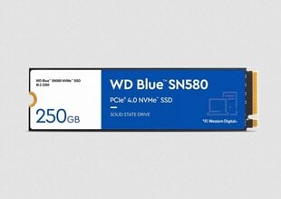 WD Blue SN580 WDS250G3B0E cena un informācija | Iekšējie cietie diski (HDD, SSD, Hybrid) | 220.lv