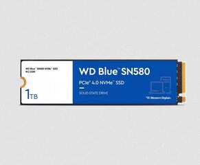 WD WDS100T3B0E цена и информация | Внутренние жёсткие диски (HDD, SSD, Hybrid) | 220.lv