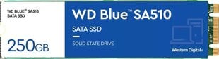 WD Blue SA510 WDS250G3B0B cena un informācija | Iekšējie cietie diski (HDD, SSD, Hybrid) | 220.lv
