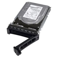Dell 161-BBRX цена и информация | Внутренние жёсткие диски (HDD, SSD, Hybrid) | 220.lv