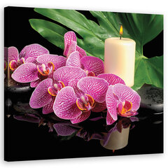 Glezna Rozā orhideja ar sveci цена и информация | Картины | 220.lv