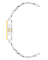 Женские часы Anne Klein AK/4061SVTT цена и информация | Женские часы | 220.lv