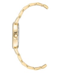 Женские часы Anne Klein AK/3692MPGB цена и информация | Женские часы | 220.lv