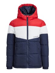 Jack&Jones jaka zēniem 5715428083942, sarkana cena un informācija | Zēnu virsjakas | 220.lv