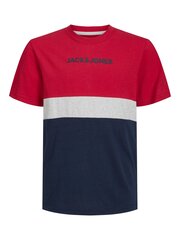 Jack&Jones T-krekls zēniem 12237430, sarkans cena un informācija | Zēnu krekli | 220.lv
