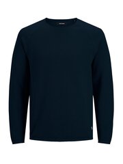 Детский джемпер Jack & Jones 12173981*01, тёмно-синий 5715425186684 цена и информация | Свитеры, жилетки, пиджаки для мальчиков | 220.lv