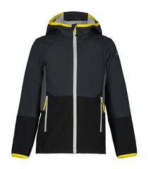Куртка Icepeak для мальчиков Timber 51807-3*290, тёмно-серая/серая, 6438535494539 цена и информация | Куртки для мальчиков | 220.lv