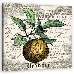 Glezna Apelsīns cena un informācija | Gleznas | 220.lv