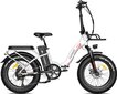 Elektriskais velosipēds FAFREES F20 Max, 20", balts, 500W, 22,5Ah cena un informācija | Elektrovelosipēdi | 220.lv