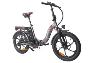 Электровелосипед FAFREES F20 Pro, 20", серый, 250Вт, 18Ач цена и информация | Электровелосипеды | 220.lv
