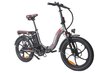 Elektriskais velosipēds FAFREES F20 Pro, 20", pelēks, 250W, 18Ah cena un informācija | Elektrovelosipēdi | 220.lv