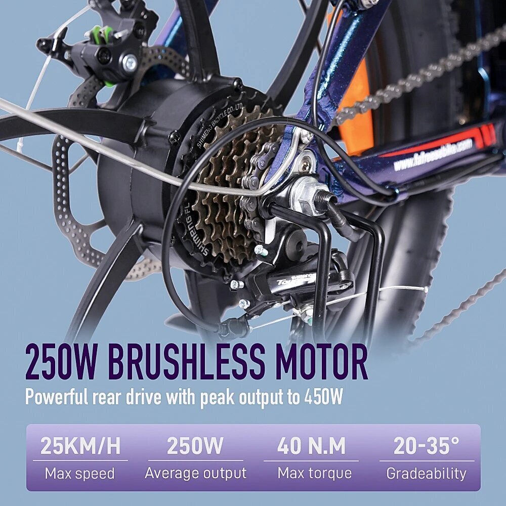 Elektriskais velosipēds FAFREES F20 Pro, 20", pelēks, 250W, 18Ah cena un informācija | Elektrovelosipēdi | 220.lv